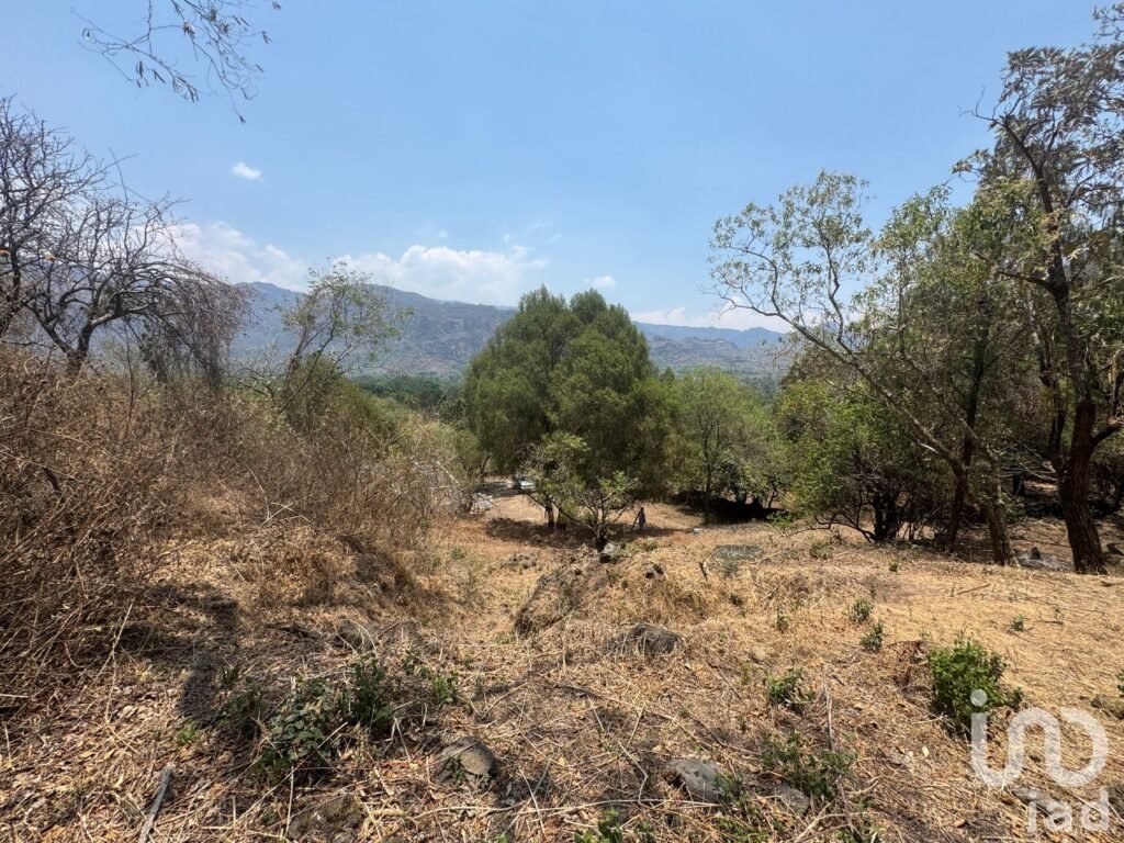 Terreno en VENTA ideal para construir cabañas en TEPOZTLÁN, Morelos.