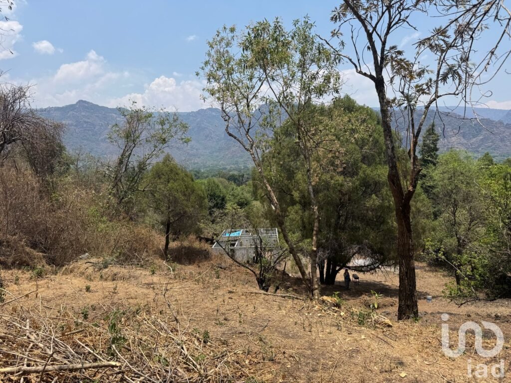 Terreno en VENTA ideal para construir cabañas en TEPOZTLÁN, Morelos. - 2170620 terreno en venta terreno en venta ideal para construir cabanas en tepoztlan morelos 250540