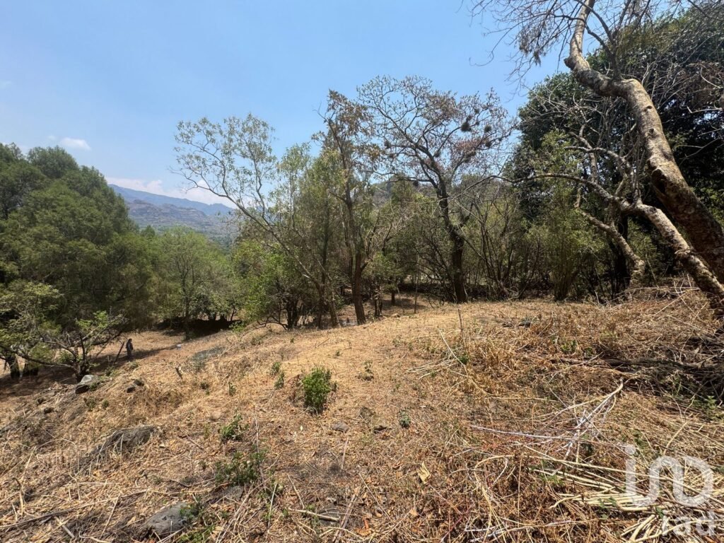 Terreno en VENTA ideal para construir cabañas en TEPOZTLÁN, Morelos.