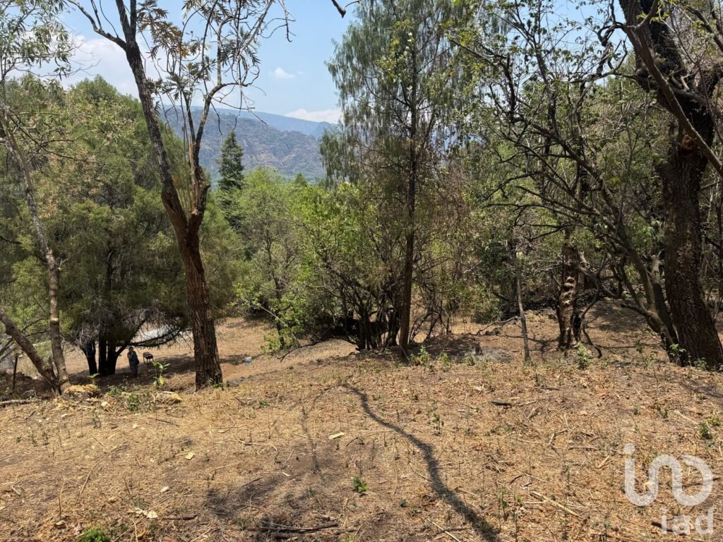 Terreno en VENTA ideal para construir cabañas en TEPOZTLÁN, Morelos.