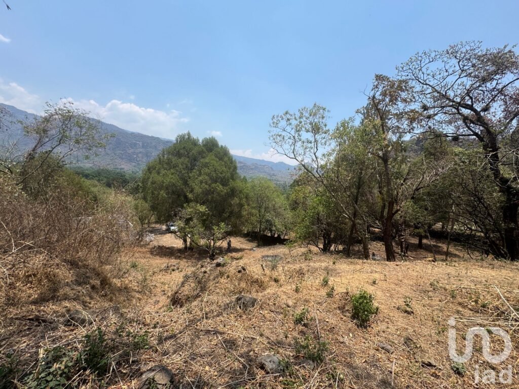 Terreno en VENTA ideal para construir cabañas en TEPOZTLÁN, Morelos.
