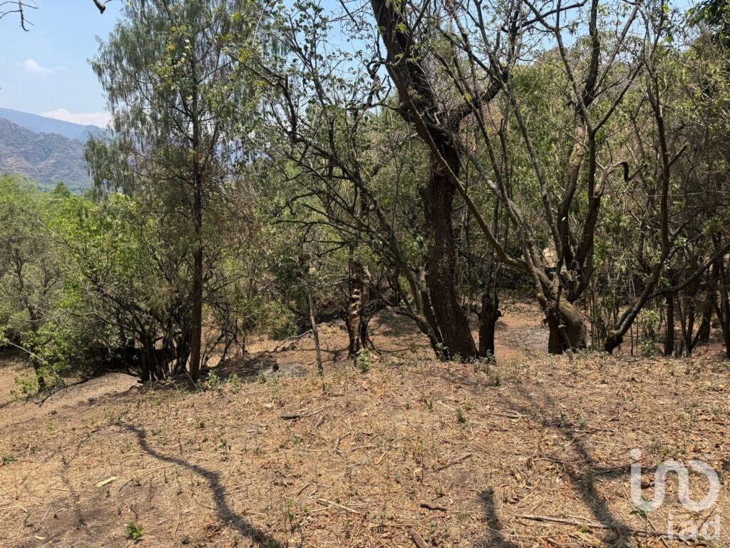 Terreno en VENTA ideal para construir cabañas en TEPOZTLÁN, Morelos.