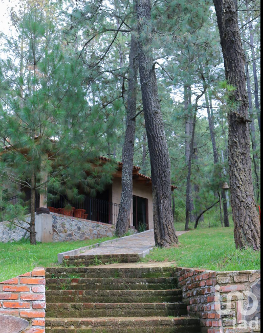 HOTEL DE MONTAÑA CON 10 CABAÑAS EN VENTA. CARRET. JUANACATLAN-ATEMAJAC DE BRIZUELA KM 4