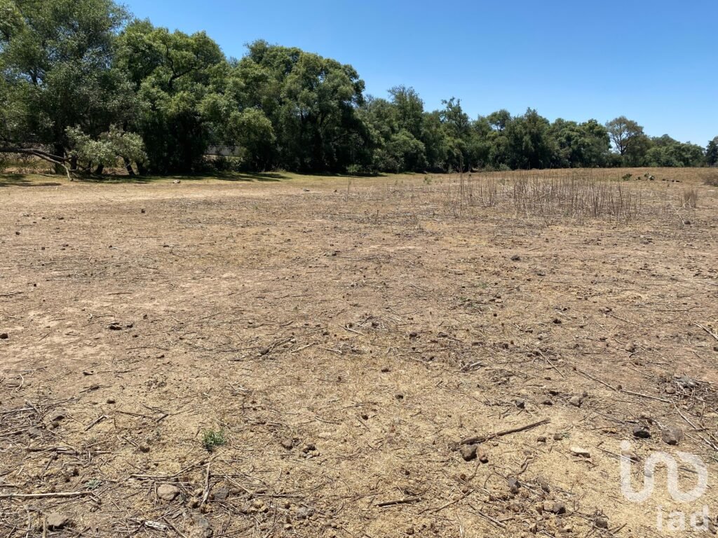 Terrenos en venta en Cuautepec de Hinojosa Hidalgo - 2171557 terreno en venta terrenos en venta en cuautepec de hinojosa hidalgo 250707