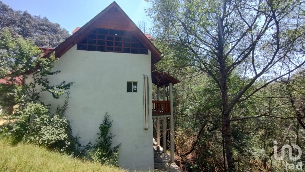 CABAÑA EN VENTA EN EL BOSQUE,PUEBLO MAGICO MINERAL DEL CHICO HIDALGO
