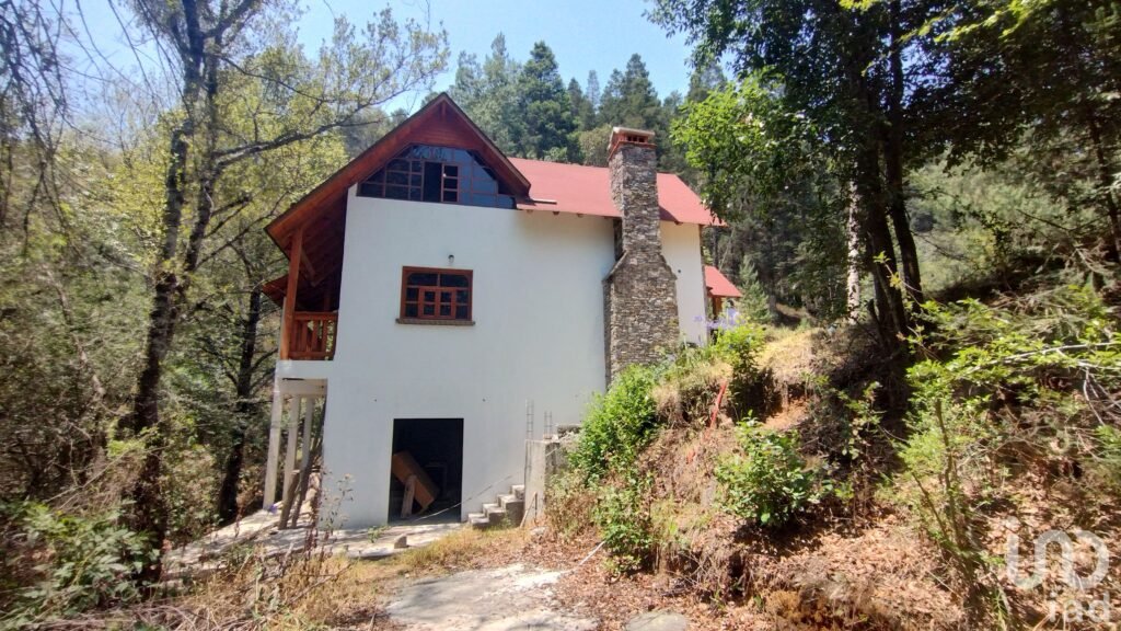 CABAÑA EN VENTA EN EL BOSQUE,PUEBLO MAGICO MINERAL DEL CHICO HIDALGO