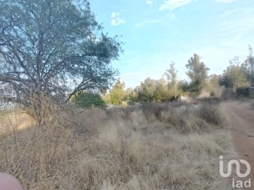 Terreno en Venta en la Tomatina