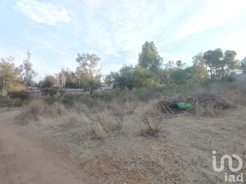 Terreno en Venta en la Tomatina