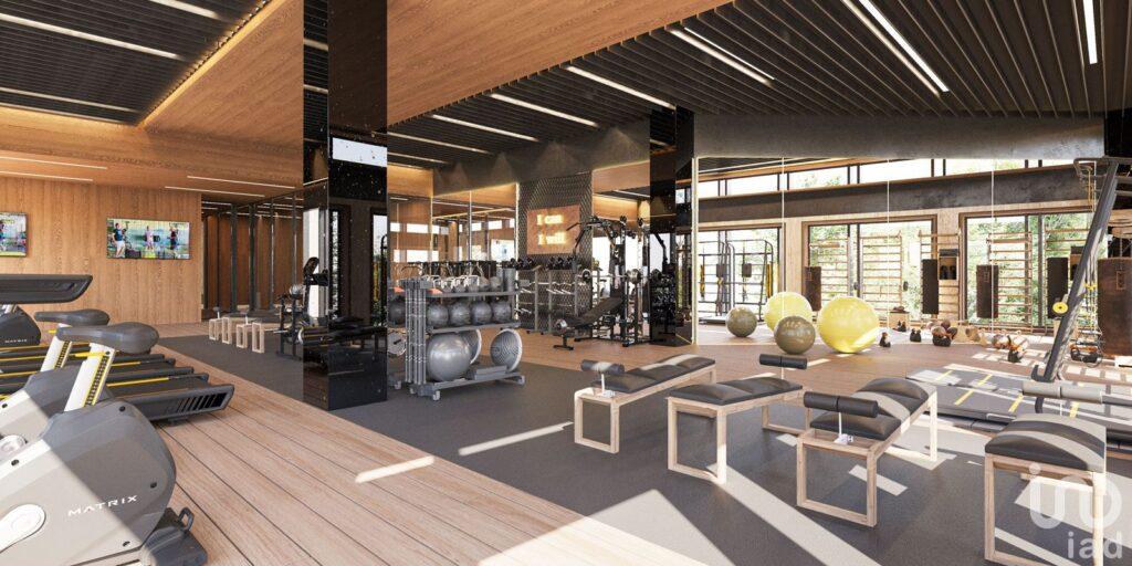 Estudios y departamentos en Reforma,