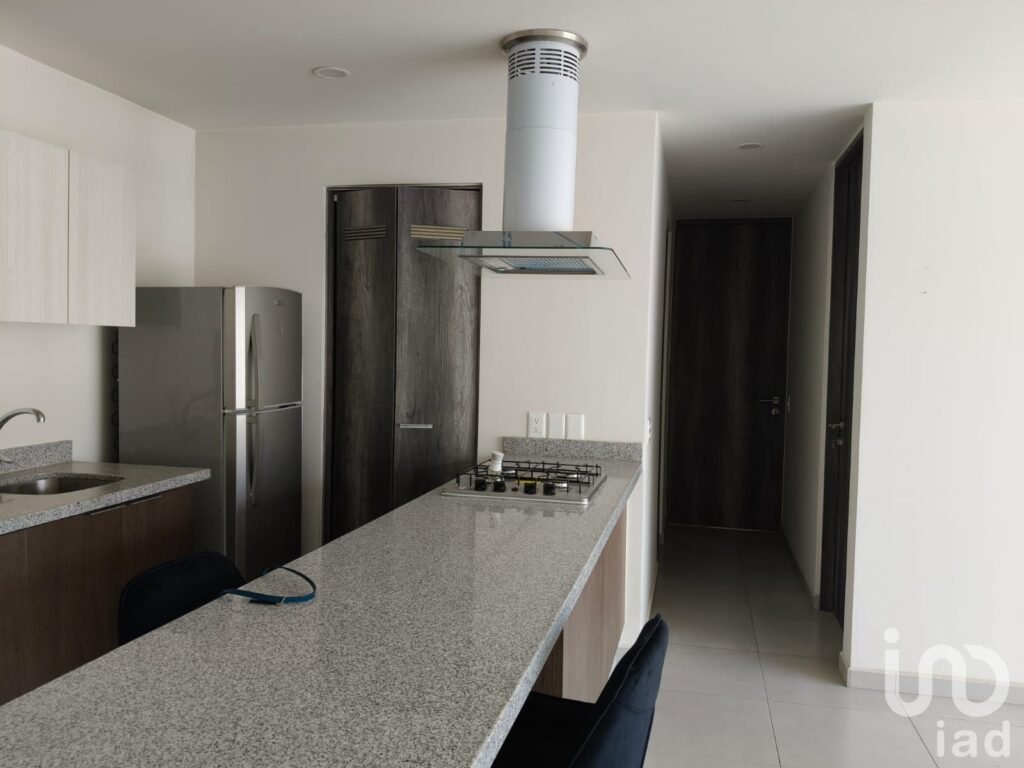 DEPARTAMENTO  NUEVA GALICIA