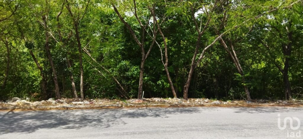 VENDO TERRENO EN ARRECIFES A PASOS DE AV. UNIVERSIDADES, PLAYA DEL CARMEN, Q. ROO