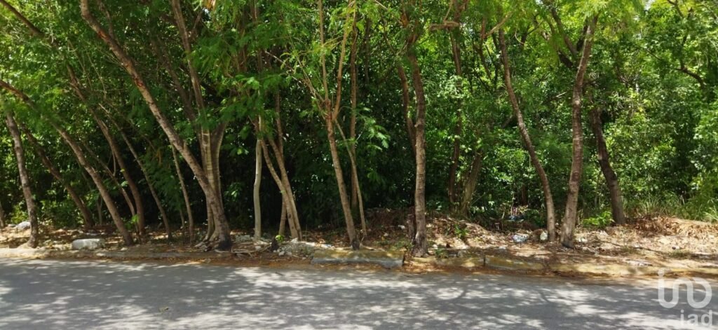 VENDO TERRENO EN ARRECIFES A PASOS DE AV. UNIVERSIDADES, PLAYA DEL CARMEN, Q. ROO