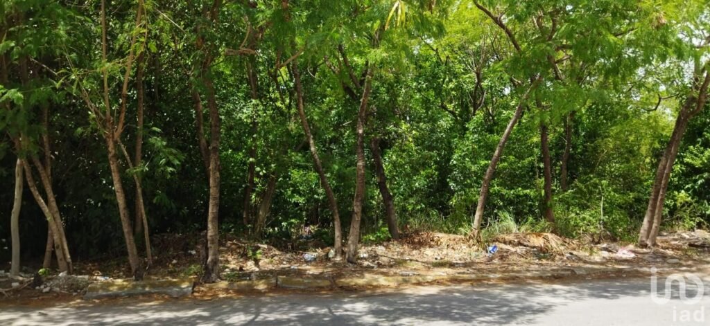 VENDO TERRENO EN ARRECIFES A PASOS DE AV. UNIVERSIDADES, PLAYA DEL CARMEN, Q. ROO