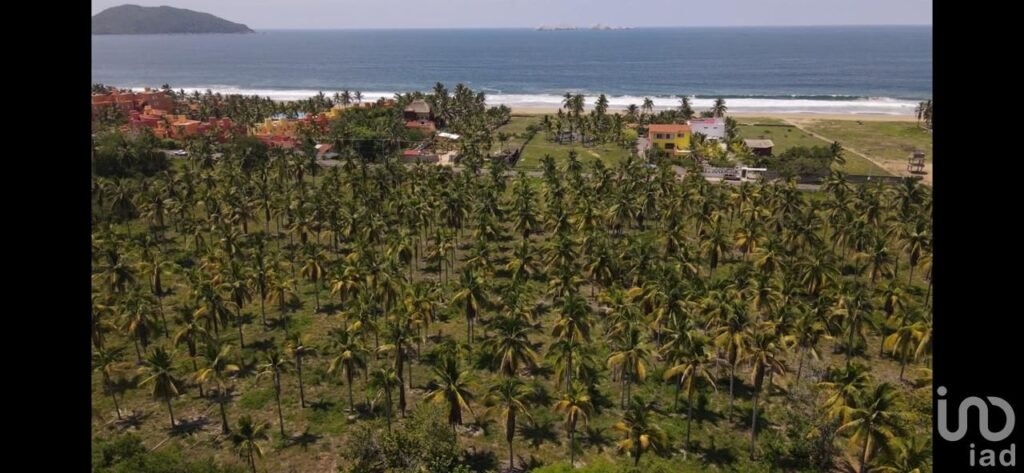 Terrenos comerciales y residenciales en Zihuatanejo