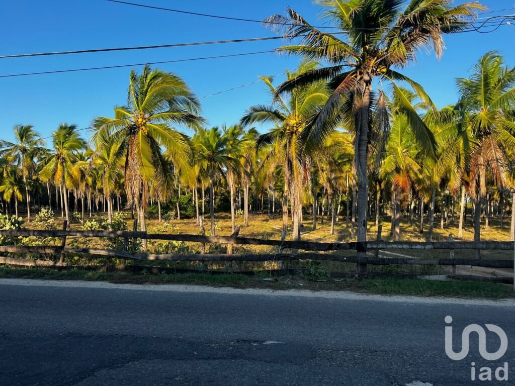 Terrenos comerciales y residenciales en Zihuatanejo