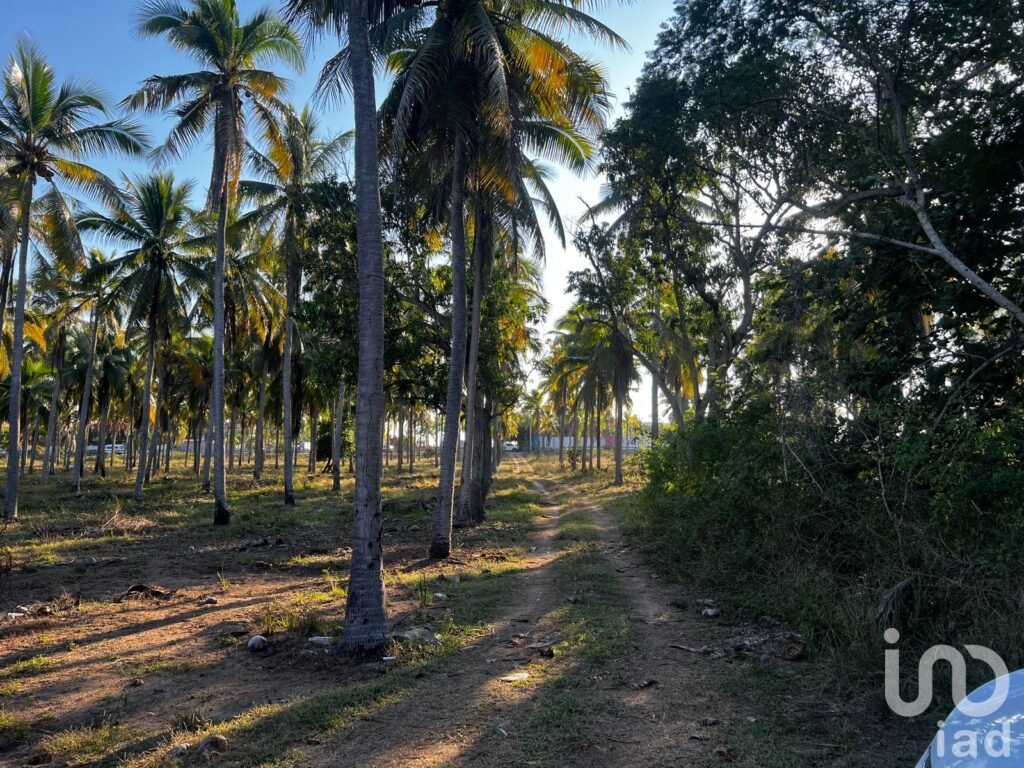 Terrenos comerciales y residenciales en Zihuatanejo