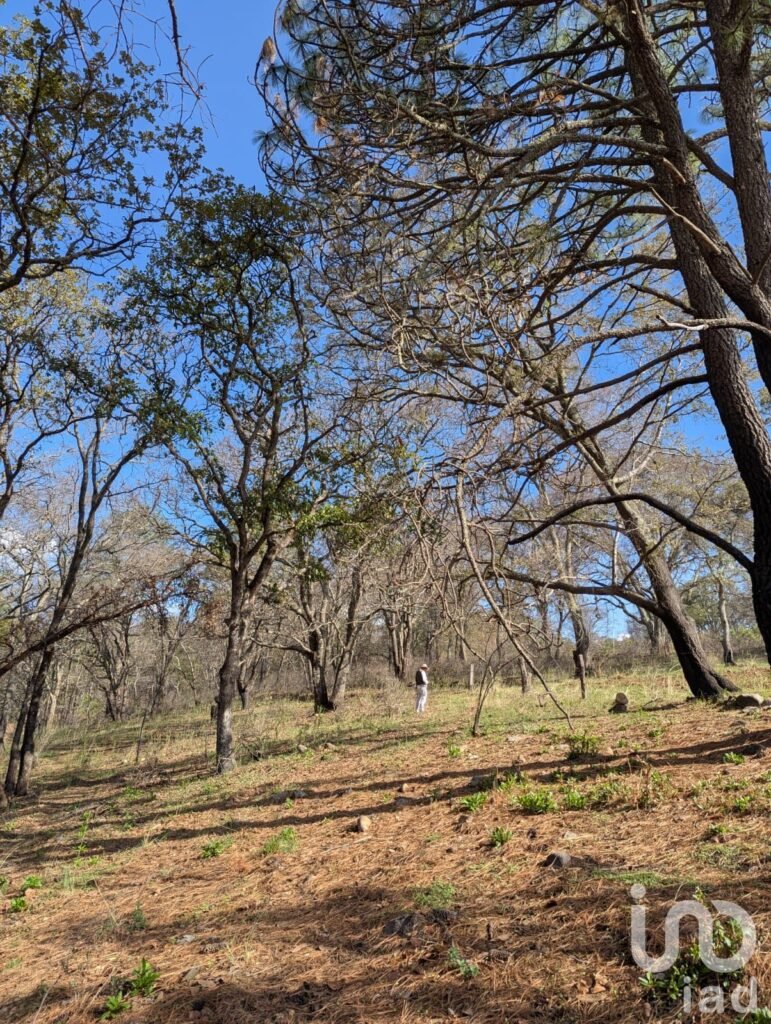 Venta Terreno en Amealco de Bonfil, Queretaro