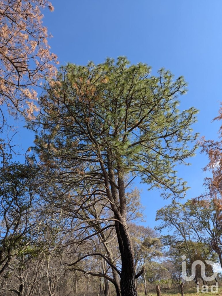 Venta Terreno en Amealco de Bonfil, Queretaro
