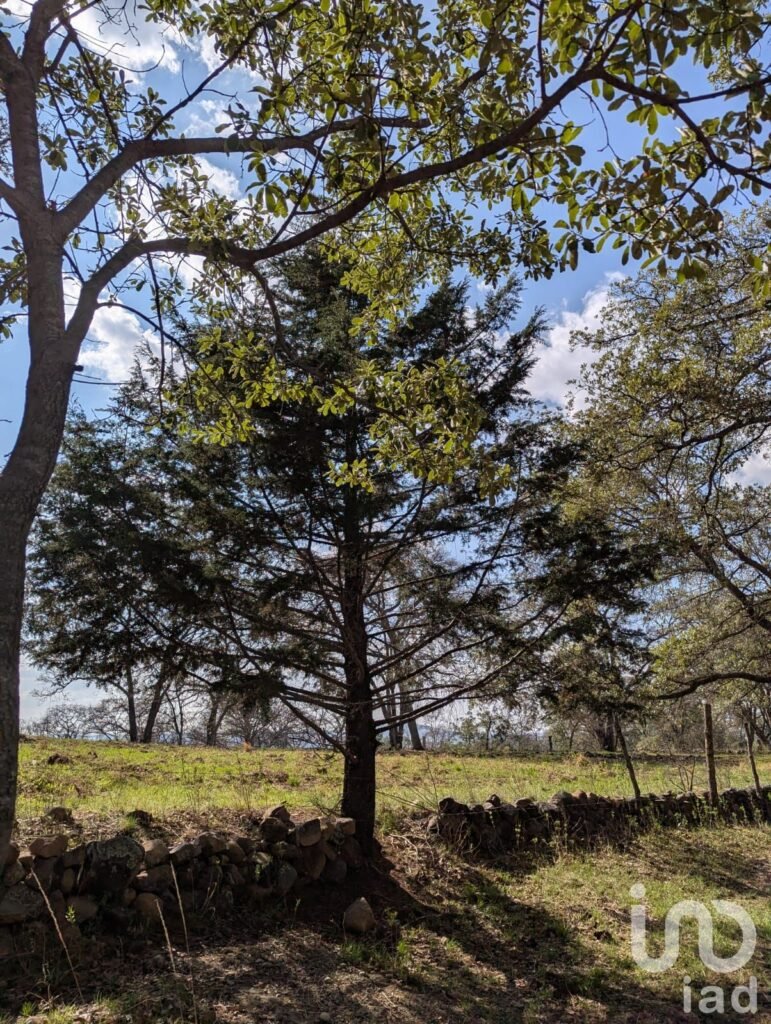 Venta Terreno en Amealco de Bonfil, Queretaro