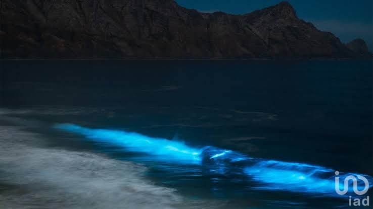 Exclusivo Terreno Frente al Mar con Bioluminiscencia
