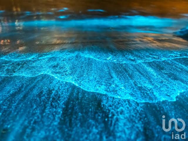 Exclusivo Terreno Frente al Mar con Bioluminiscencia