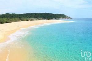 Exclusivo Terreno Frente al Mar con Bioluminiscencia