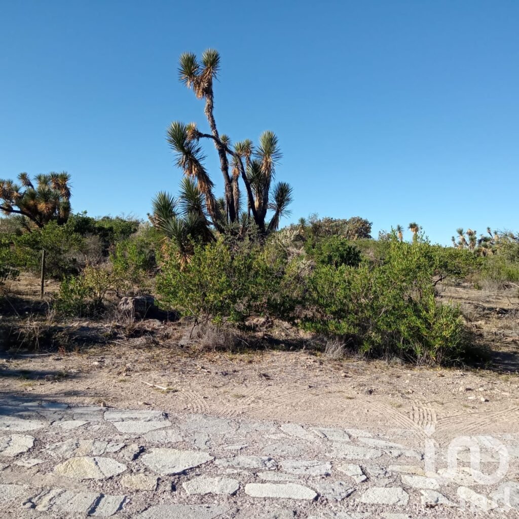 SE VENDE TERRENO EN RANCHO SECO, 10,132 METROS CUADRADOS,  POR LA POSTA,JESUS MARIA, AGUASCALIENTES