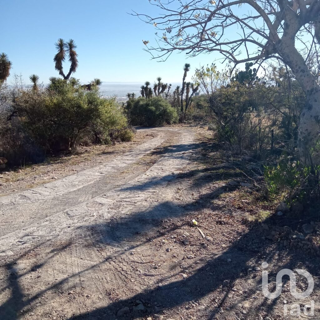 SE VENDE TERRENO EN RANCHO SECO, 10,132 METROS CUADRADOS,  POR LA POSTA,JESUS MARIA, AGUASCALIENTES
