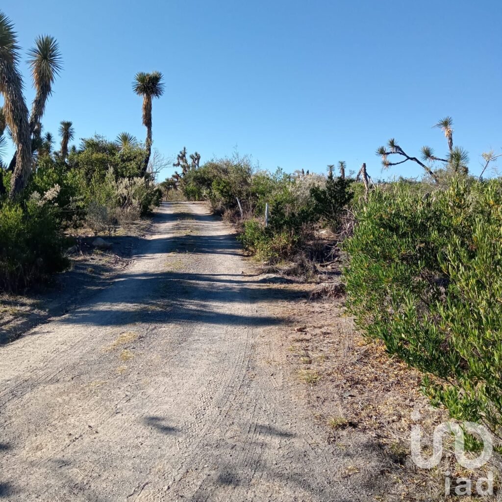 SE VENDE TERRENO EN RANCHO SECO, 10,132 METROS CUADRADOS,  POR LA POSTA,JESUS MARIA, AGUASCALIENTES