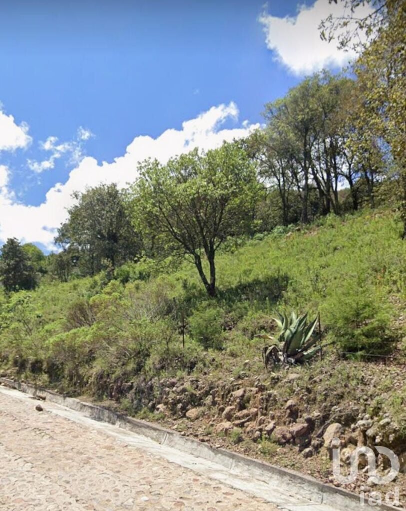 Terreno en la comunidad de Chilteje de la Cruz, Arbolada