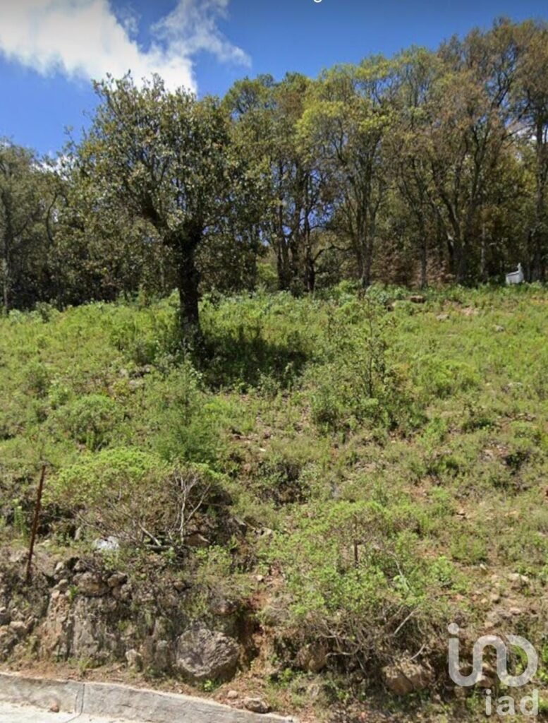 Terreno en la comunidad de Chilteje de la Cruz, Arbolada