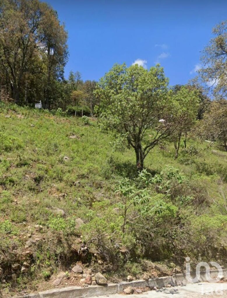 Terreno en la comunidad de Chilteje de la Cruz, Arbolada