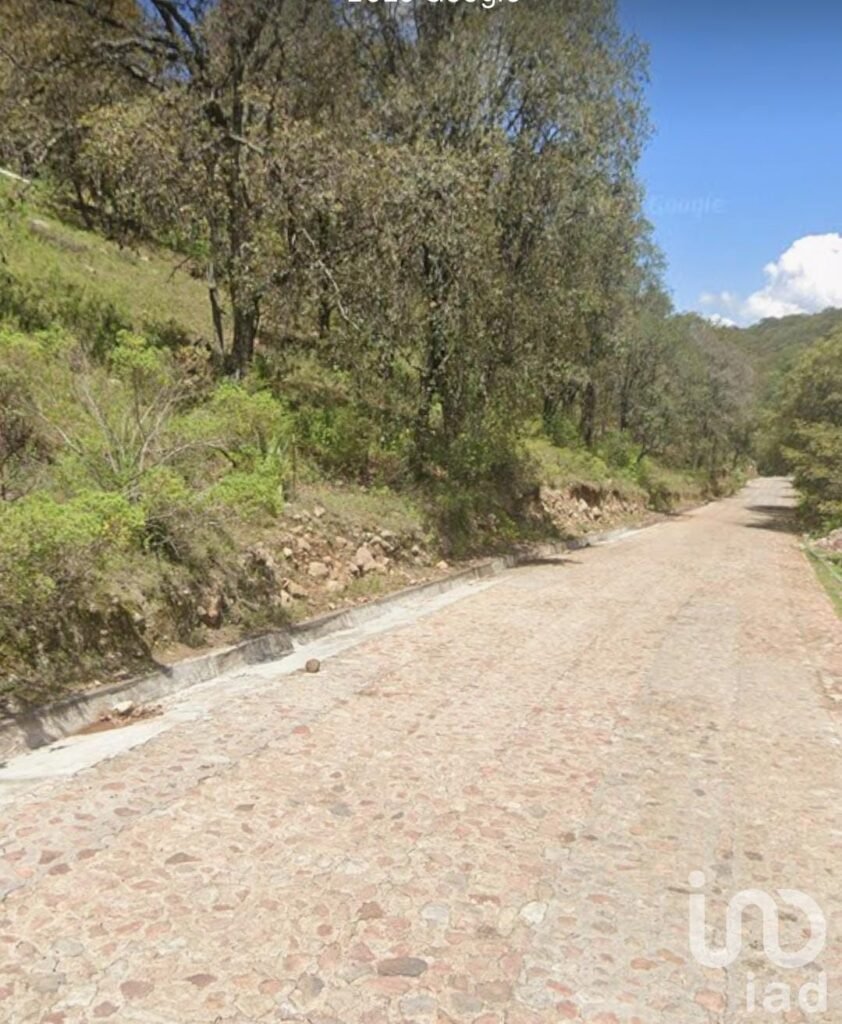 Terreno en la comunidad de Chilteje de la Cruz, Arbolada