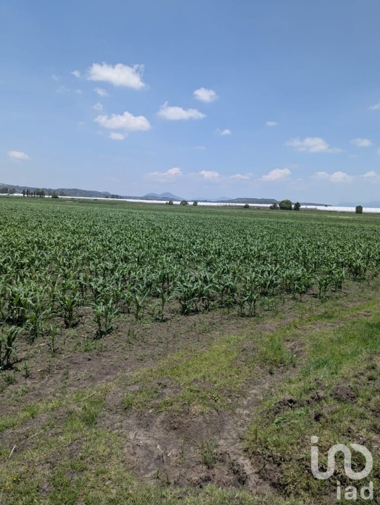 Se vende parcela de riego por hectárea en el pueblo mágico de Amealco de Bonfil