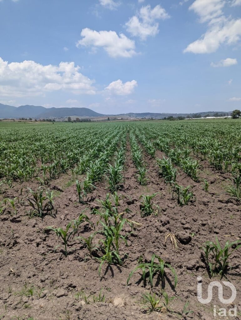 Se vende parcela de riego por hectárea en el pueblo mágico de Amealco de Bonfil