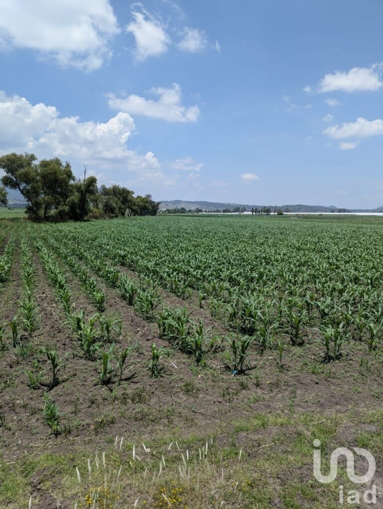 Se vende parcela de riego por hectárea en el pueblo mágico de Amealco de Bonfil