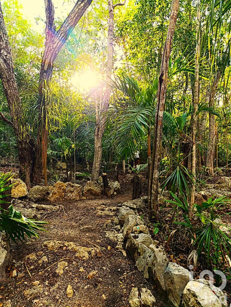 TERRENO ECOLÓGICO CON POSIBILIDAD DE CONSTRUIR HASTA 20 VIVIENDAS. PUEBLO SACBE