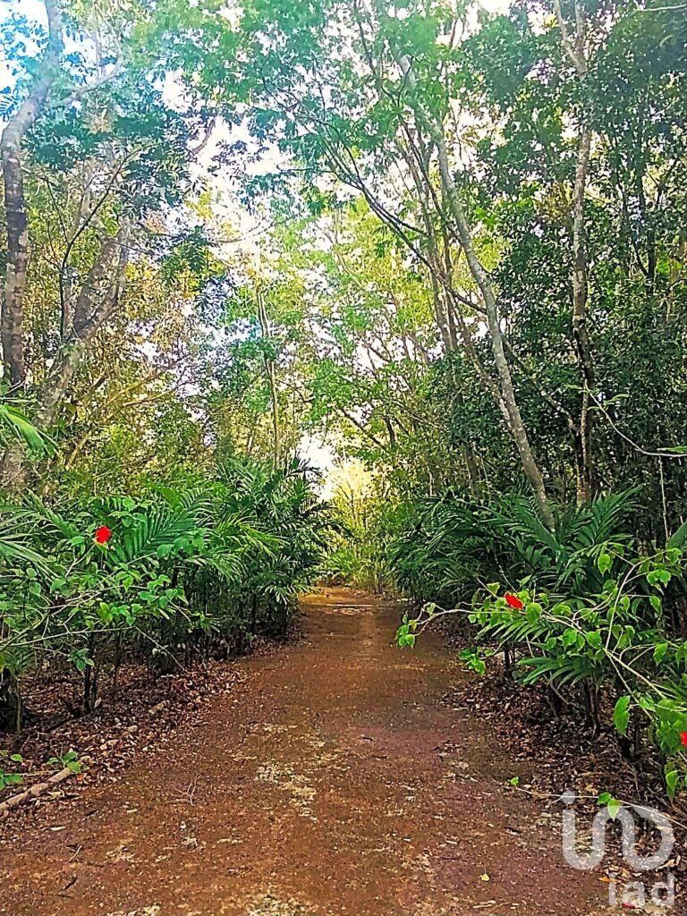 TERRENO ECOLÓGICO CON POSIBILIDAD DE CONSTRUIR HASTA 20 VIVIENDAS. PUEBLO SACBE