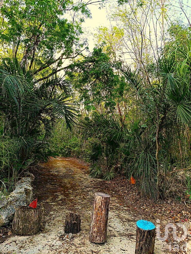 TERRENO ECOLÓGICO CON POSIBILIDAD DE CONSTRUIR HASTA 20 VIVIENDAS. PUEBLO SACBE