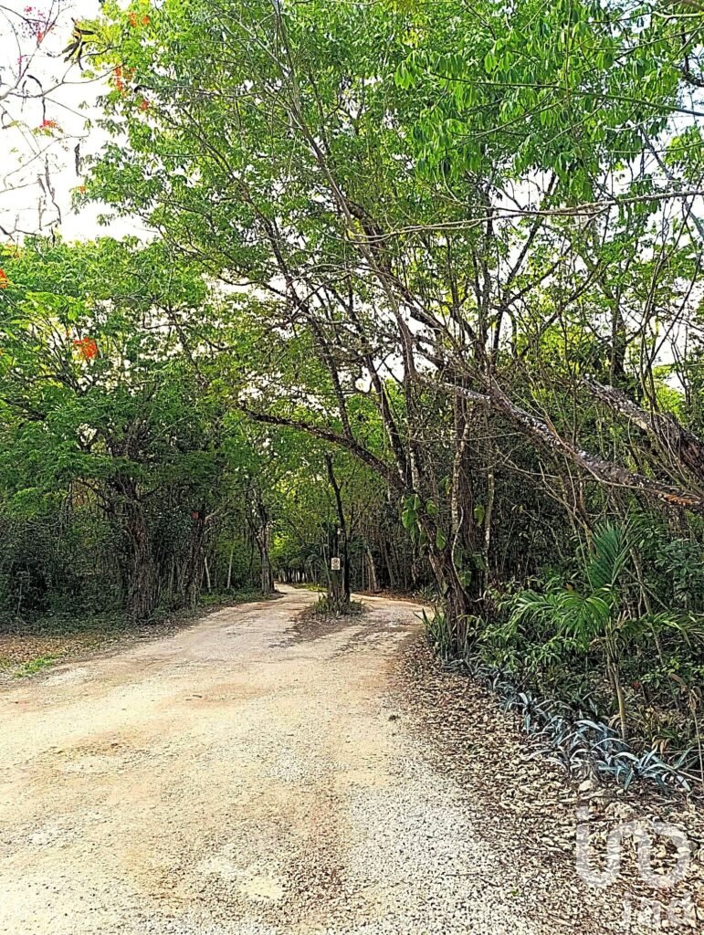 TERRENO ECOLÓGICO CON POSIBILIDAD DE CONSTRUIR HASTA 20 VIVIENDAS. PUEBLO SACBE