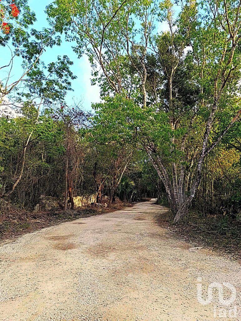 TERRENO ECOLÓGICO CON POSIBILIDAD DE CONSTRUIR HASTA 20 VIVIENDAS. PUEBLO SACBE