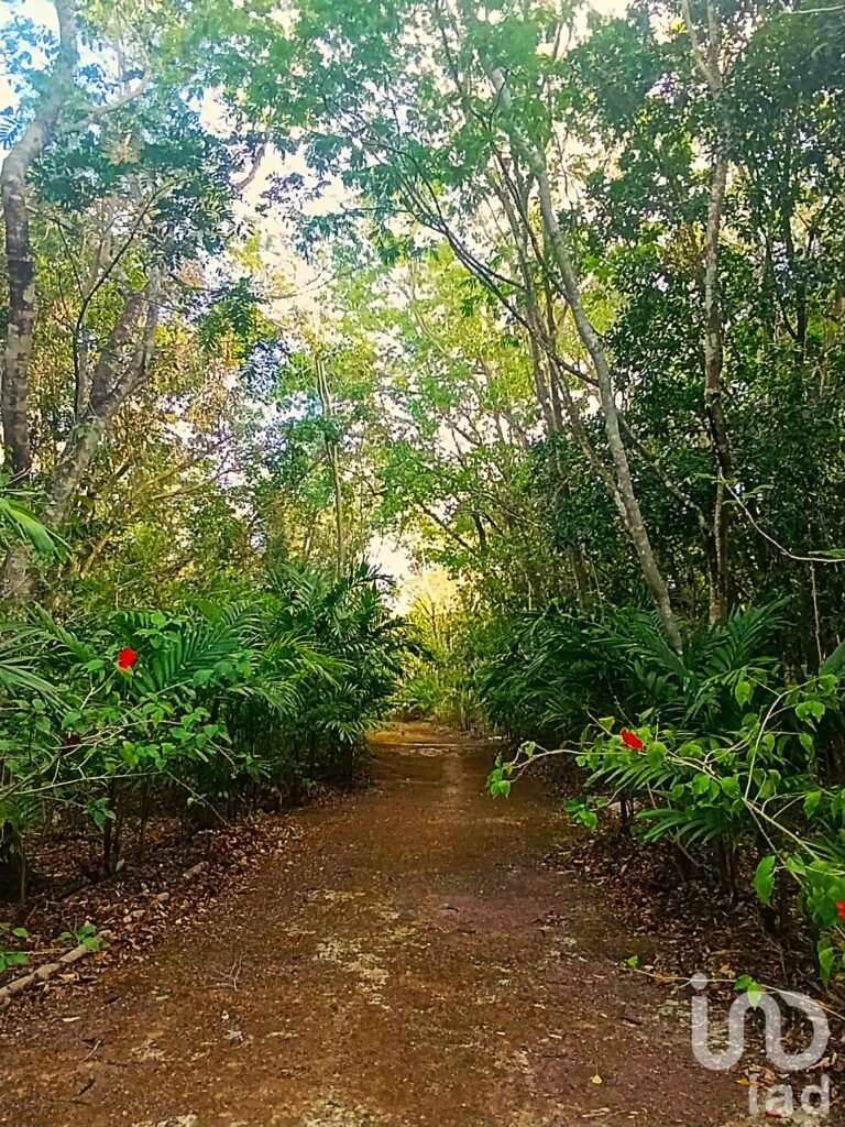 TERRENO ECOLÓGICO CON POSIBILIDAD DE CONSTRUIR HASTA 20 VIVIENDAS. PUEBLO SACBE