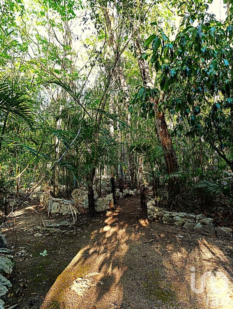 TERRENO ECOLÓGICO CON POSIBILIDAD DE CONSTRUIR HASTA 20 VIVIENDAS. PUEBLO SACBE