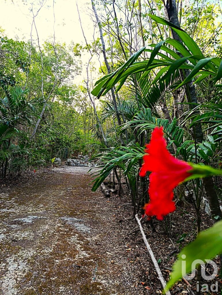 TERRENO ECOLÓGICO CON POSIBILIDAD DE CONSTRUIR HASTA 20 VIVIENDAS. PUEBLO SACBE