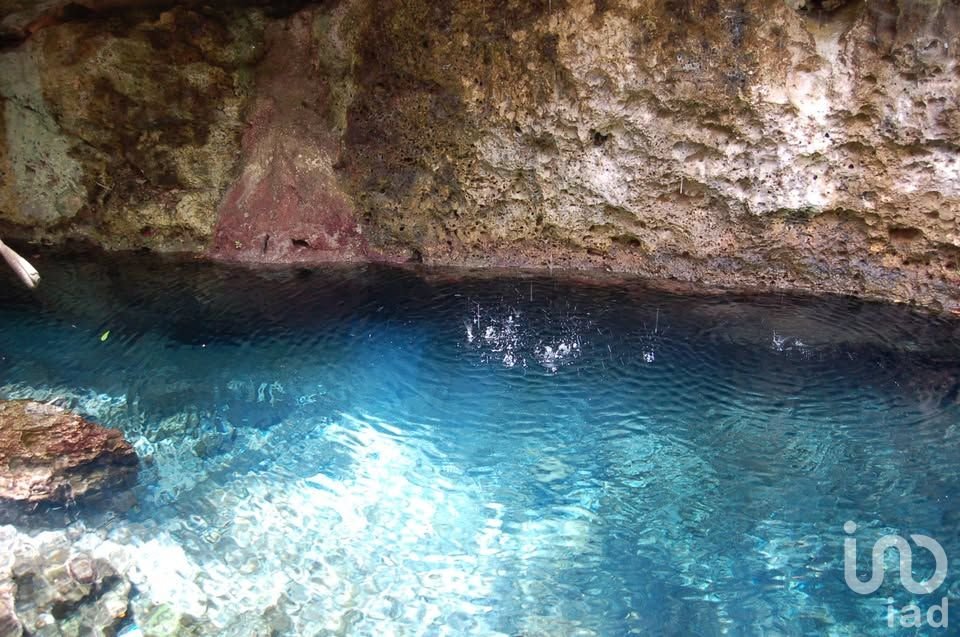 TERRENO ECOLÓGICO CON POSIBILIDAD DE CONSTRUIR HASTA 20 VIVIENDAS. PUEBLO SACBE