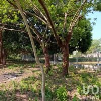 TERRENO EN VENTA EN JUAN DE ALFARO MEDELLIN VERACRUZ