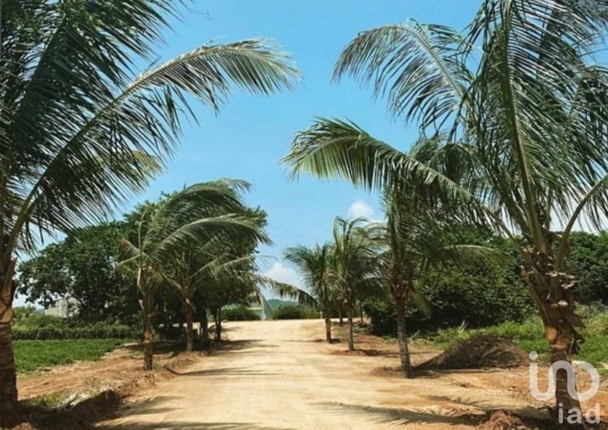 VENTA DE TERRENO EN PUERTO ESCONDIDO OAXACA