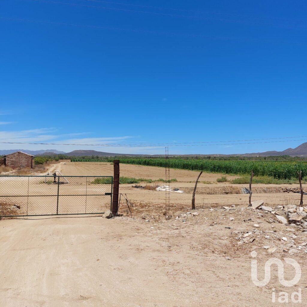 Terreno Agricola excelente para negocio o huerto familiar en Los planes BCS