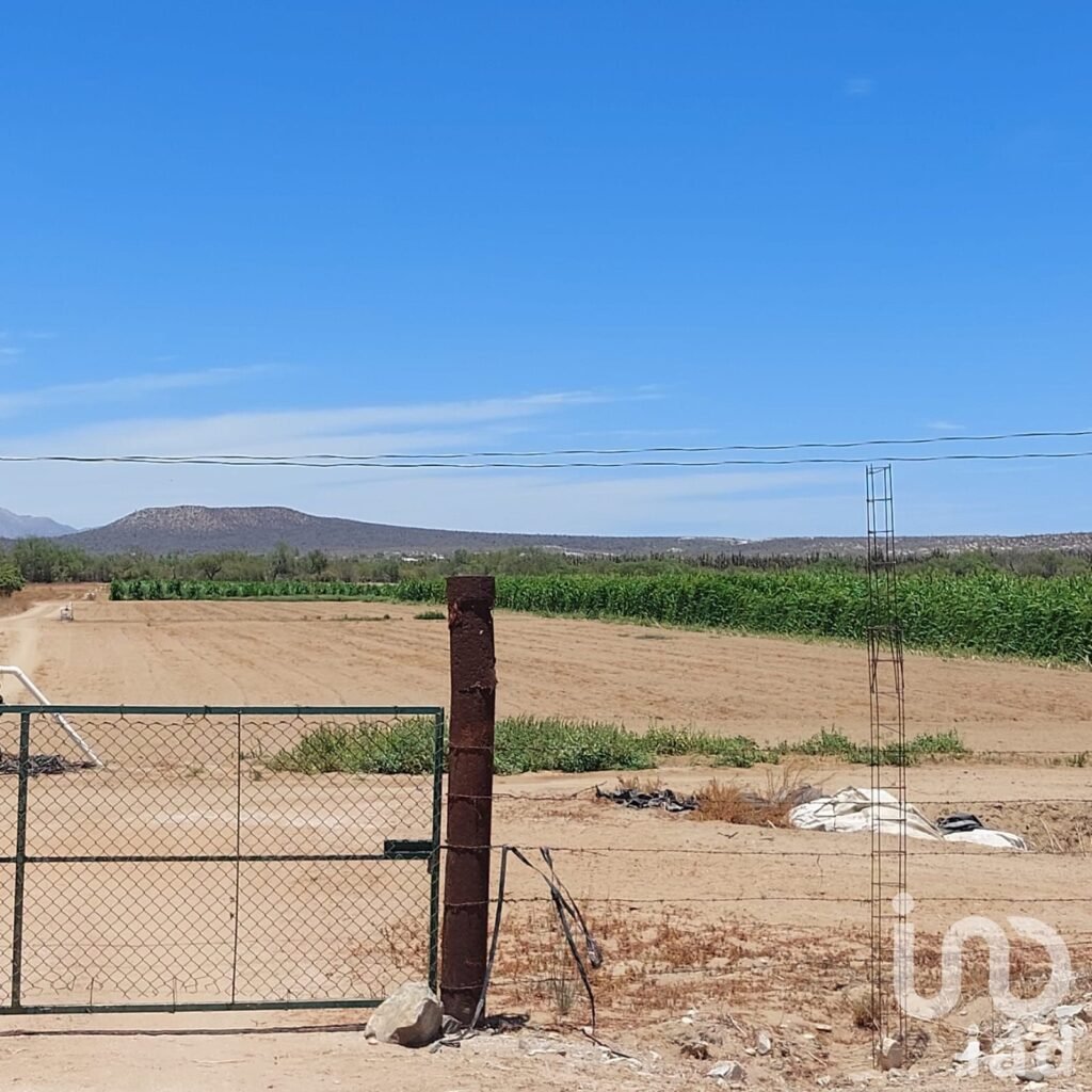 Terreno Agricola excelente para negocio o huerto familiar en Los planes BCS