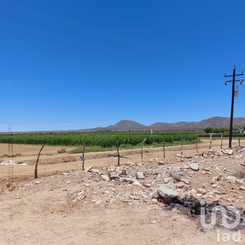 Terreno Agricola excelente para negocio o huerto familiar en Los planes BCS